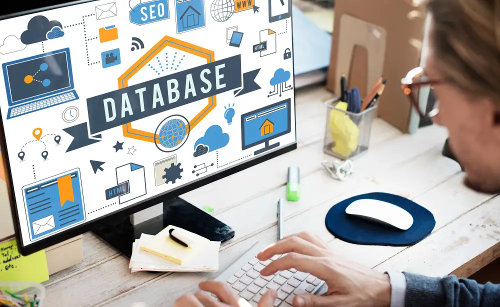 Database Management & Business Intelligence