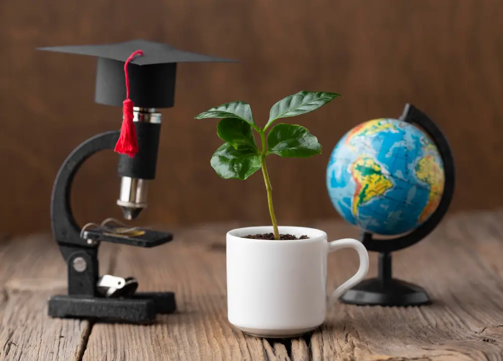 Online Anthropology Degree