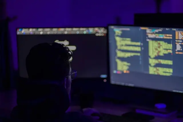 Software Developer