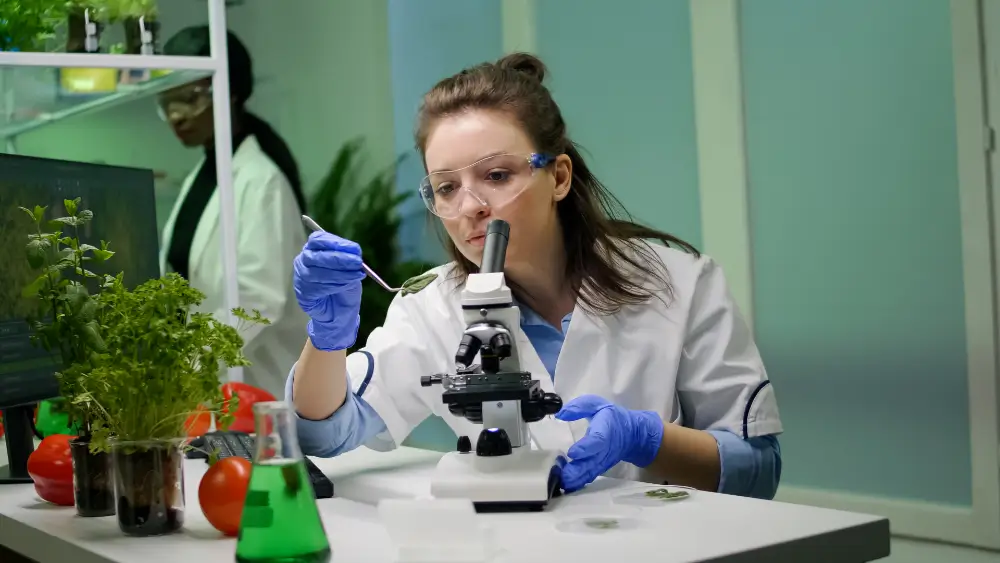 Master’s in Biochemistry Online